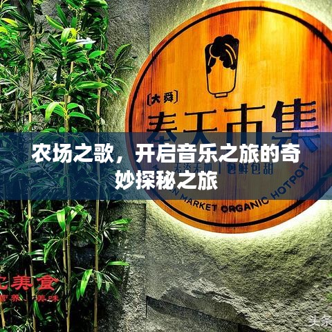 農(nóng)場(chǎng)之歌，開啟音樂(lè)之旅的奇妙探秘之旅
