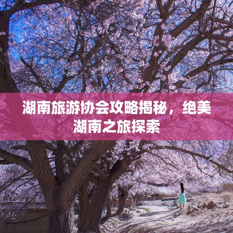 湖南旅游協(xié)會攻略揭秘，絕美湖南之旅探索