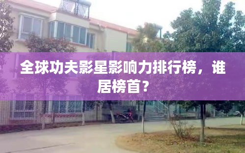全球功夫影星影響力排行榜，誰(shuí)居榜首？