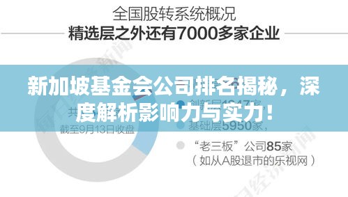 新加坡基金會公司排名揭秘，深度解析影響力與實力！