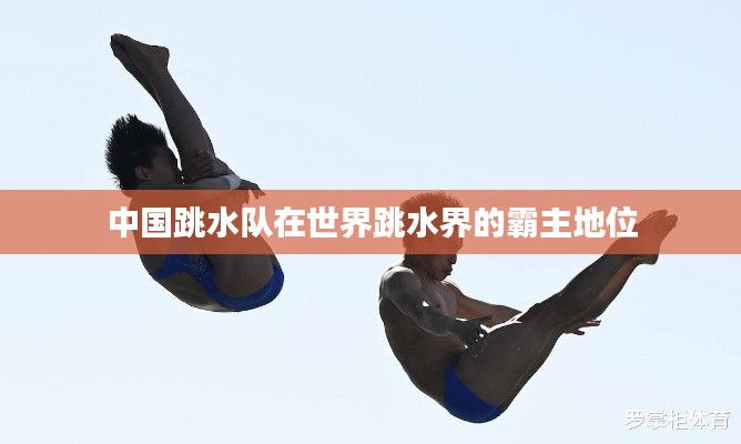 中國跳水隊在世界跳水界的霸主地位