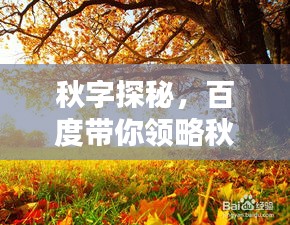 下馬看花 第2頁