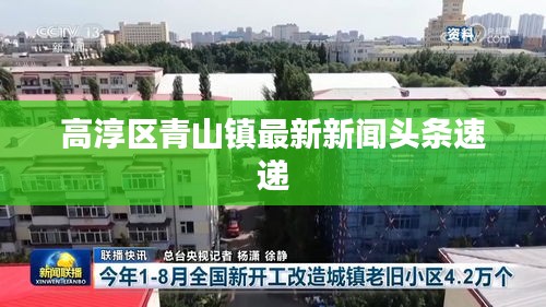 高淳區(qū)青山鎮(zhèn)最新新聞?lì)^條速遞