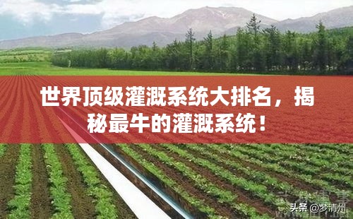 盡善盡美 第2頁