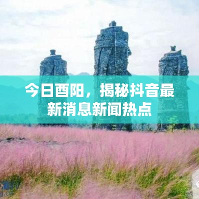 今日酉陽，揭秘抖音最新消息新聞熱點