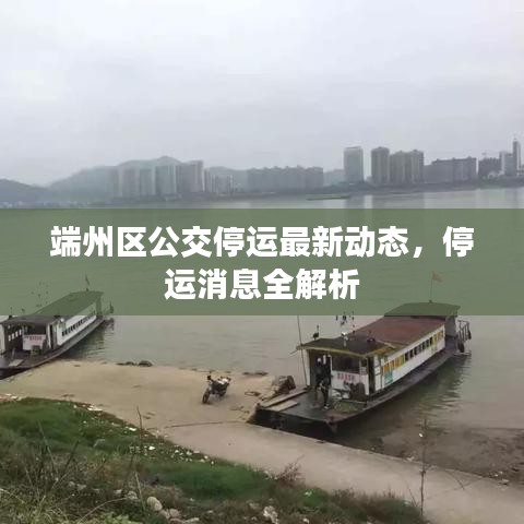 端州區(qū)公交停運最新動態(tài)，停運消息全解析