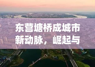 東營(yíng)塘橋成城市新動(dòng)脈，崛起與未來(lái)展望