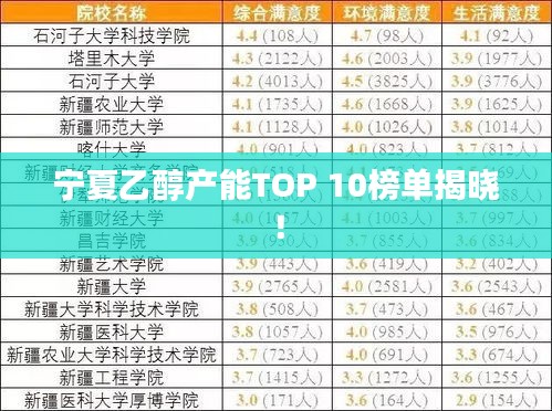 寧夏乙醇產能TOP 10榜單揭曉！