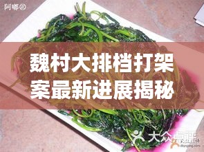 魏村大排檔打架案最新進(jìn)展揭秘，案件動(dòng)態(tài)令人矚目