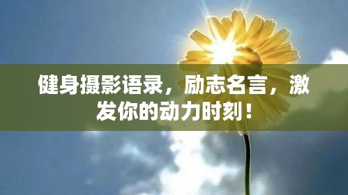 鳥革翬飛 第2頁