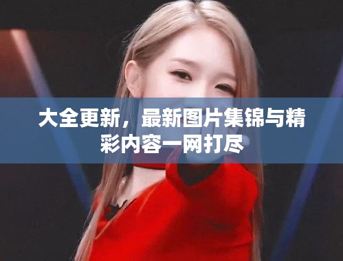 大全更新，最新圖片集錦與精彩內(nèi)容一網(wǎng)打盡
