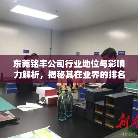 東莞銘豐公司行業(yè)地位與影響力解析，揭秘其在業(yè)界的排名與影響力