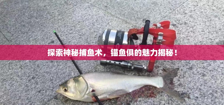 探索神秘捕魚術(shù)，錨魚俱的魅力揭秘！