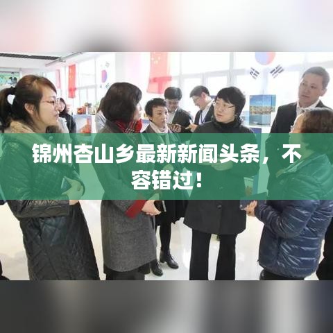 錦州杏山鄉(xiāng)最新新聞頭條，不容錯過！