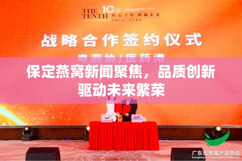 保定燕窩新聞聚焦，品質(zhì)創(chuàng)新驅(qū)動未來繁榮