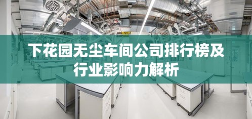 下花園無塵車間公司排行榜及行業(yè)影響力解析
