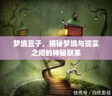 夢境豆子，揭秘夢境與現(xiàn)實之間的神秘聯(lián)系
