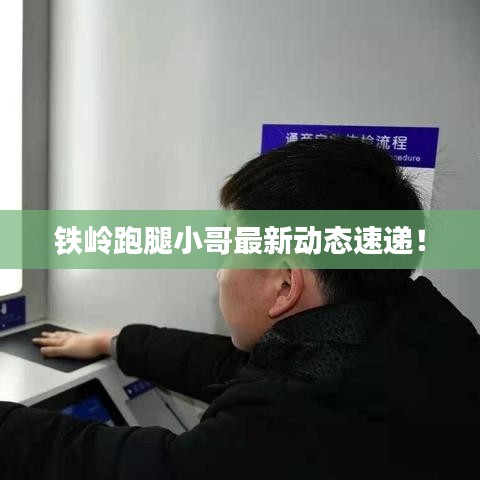 鐵嶺跑腿小哥最新動態(tài)速遞！