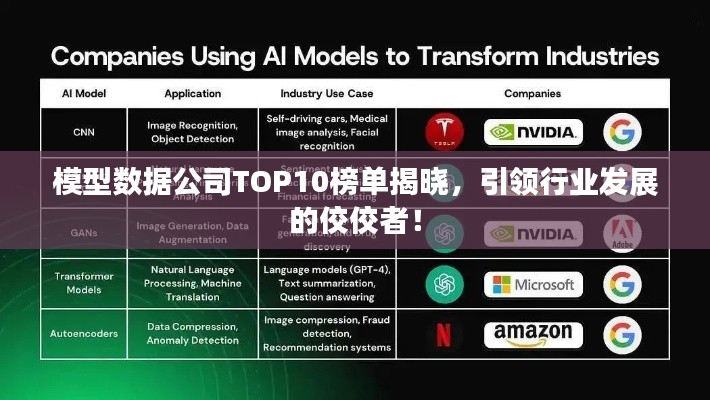 模型數(shù)據(jù)公司TOP10榜單揭曉，引領行業(yè)發(fā)展的佼佼者！