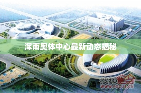 渾南奧體中心最新動態(tài)揭秘
