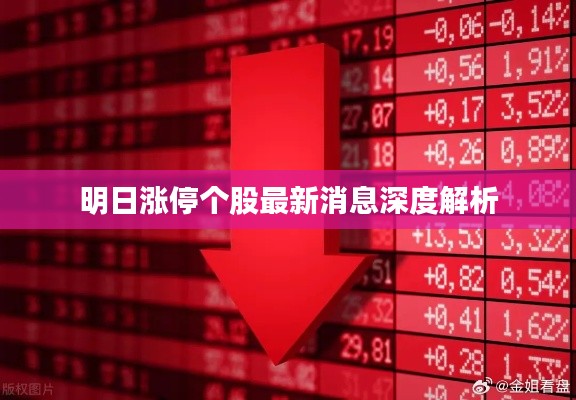 明日漲停個股最新消息深度解析