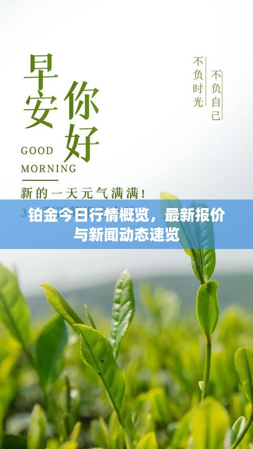 籠中之鳥 第2頁