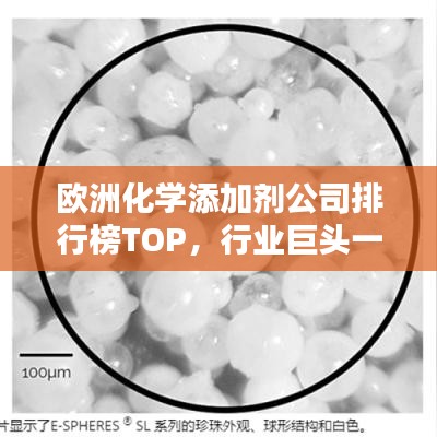 歐洲化學添加劑公司排行榜TOP，行業(yè)巨頭一覽