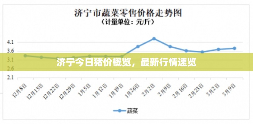 濟寧今日豬價概覽，最新行情速覽