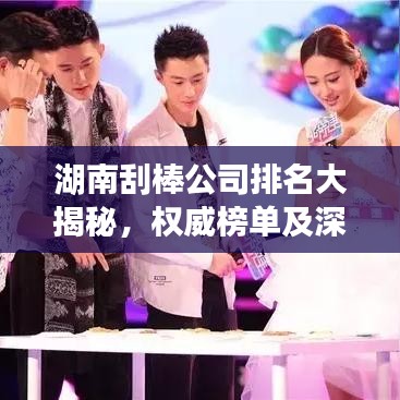 湖南刮棒公司排名大揭秘，權(quán)威榜單及深度解析
