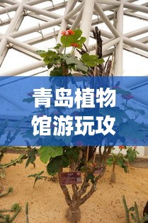 青島植物館游玩攻略，探索綠色世界的絕佳指南！
