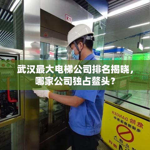 武漢最大電梯公司排名揭曉，哪家公司獨占鰲頭？