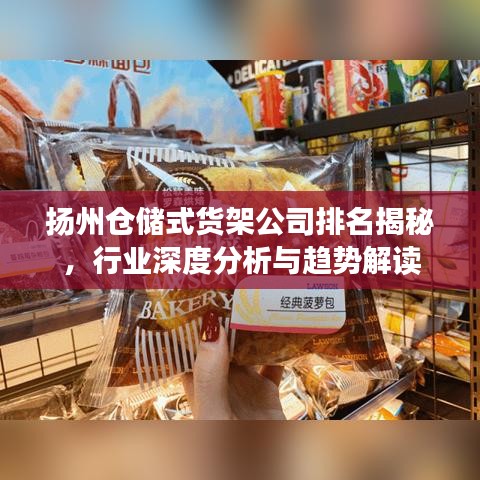 揚州倉儲式貨架公司排名揭秘，行業(yè)深度分析與趨勢解讀