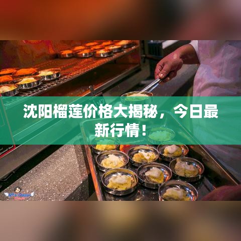 沈陽榴蓮價格大揭秘，今日最新行情！