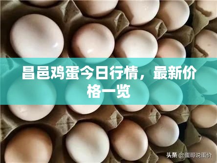 昌邑雞蛋今日行情，最新價(jià)格一覽