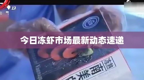 今日凍蝦市場最新動(dòng)態(tài)速遞