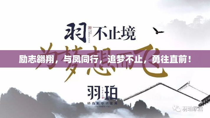 勵(lì)志翱翔，與鳳同行，追夢(mèng)不止，勇往直前！