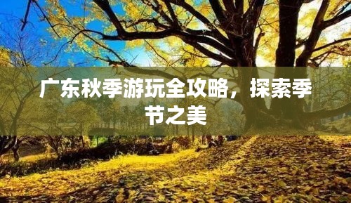 廣東秋季游玩全攻略，探索季節(jié)之美