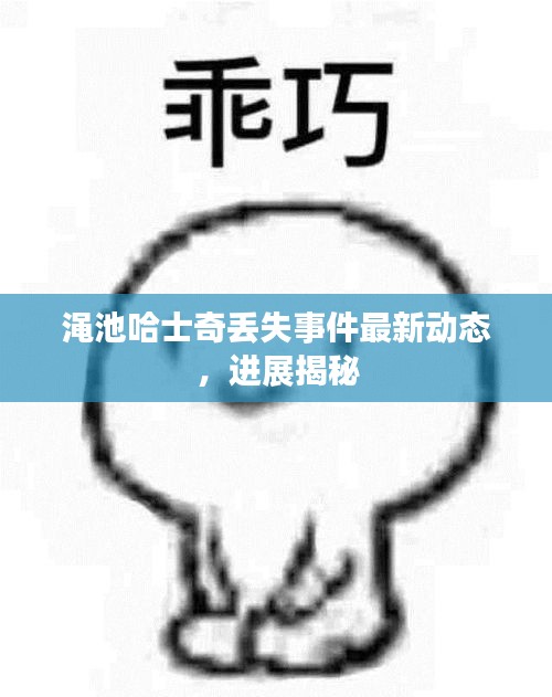 澠池哈士奇丟失事件最新動(dòng)態(tài)，進(jìn)展揭秘