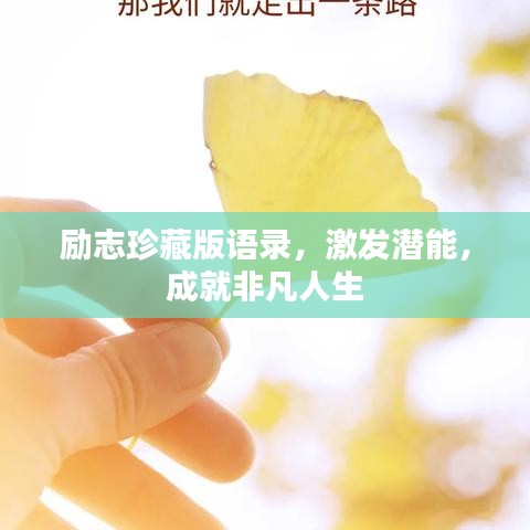 聯(lián)系我們 第78頁