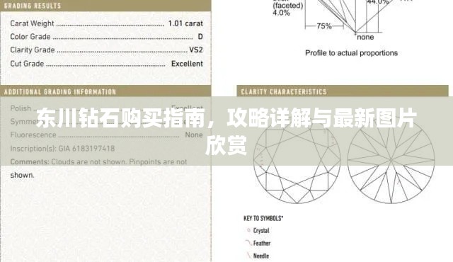 東川鉆石購買指南，攻略詳解與最新圖片欣賞