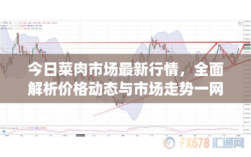 今日菜肉市場最新行情，全面解析價格動態(tài)與市場走勢一網(wǎng)打盡！