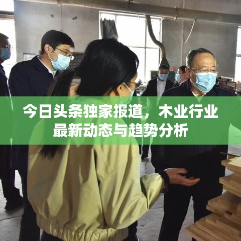 今日頭條獨(dú)家報(bào)道，木業(yè)行業(yè)最新動(dòng)態(tài)與趨勢(shì)分析