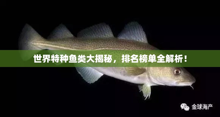 世界特種魚類大揭秘，排名榜單全解析！