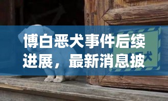 博白惡犬事件后續(xù)進(jìn)展，最新消息披露
