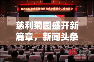 慈利菊園盛開新篇章，新聞頭條搶先看