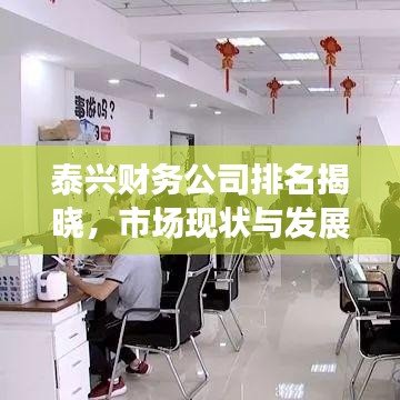 泰興財(cái)務(wù)公司排名揭曉，市場現(xiàn)狀與發(fā)展趨勢深度解讀