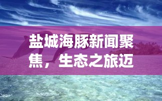 公司簡(jiǎn)介 第62頁(yè)