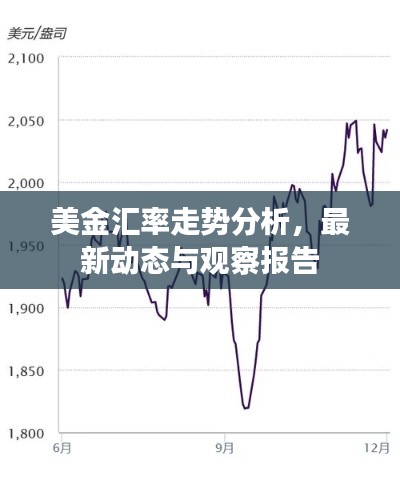 美金匯率走勢分析，最新動態(tài)與觀察報告