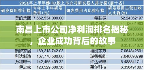 南昌上市公司凈利潤排名揭秘，企業(yè)成功背后的故事