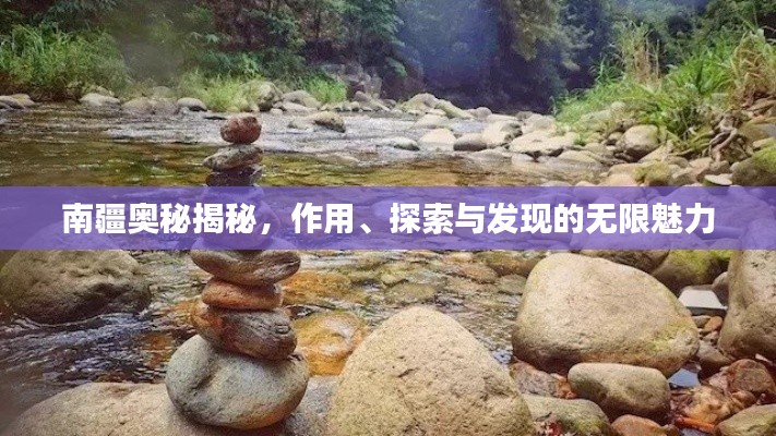 南疆奧秘揭秘，作用、探索與發(fā)現(xiàn)的無限魅力